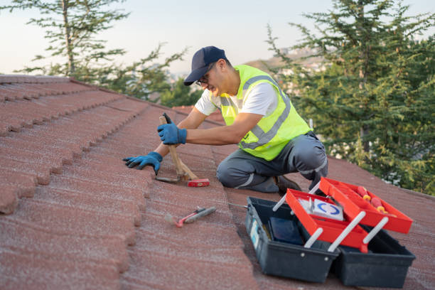 Best Roof Repair Services  in Fayetteville, WV